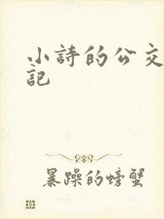 小诗的公交车日记