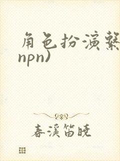 角色扮演系统(npn)