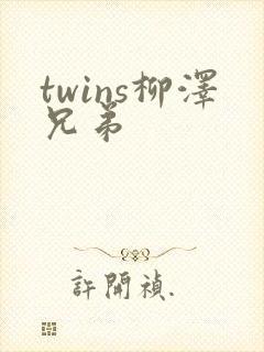 twins柳泽兄弟