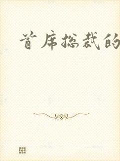 首席总裁的逃妻