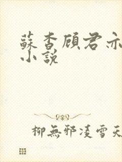 苏杳顾君亦阅读小说封面