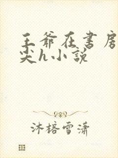 王爷在书房含乳尖h小说