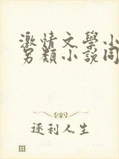 激情文学小说区另类小说同性