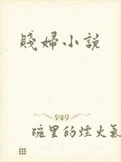 贱妇小说