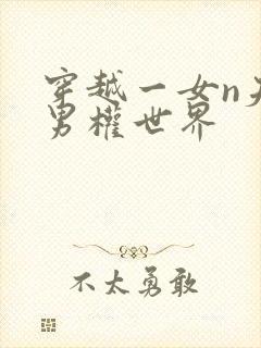 穿越一女n夫的男权世界