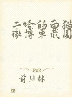 二哈的白猫师尊微博车截图