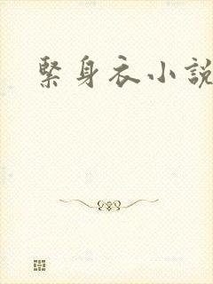 紧身衣小说