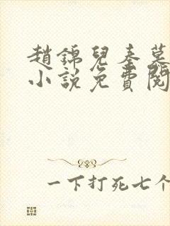 赵锦儿秦慕修的小说免费阅读全文封面