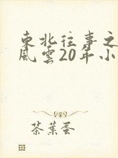 东北往事之黑道风云20年小说