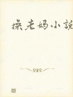 操老妈小说