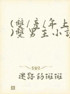 (双/产/年上)双男主小说