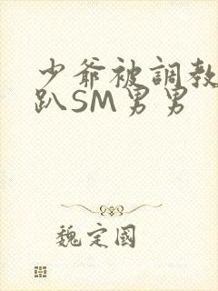 少爷被调教室跪趴SM男男