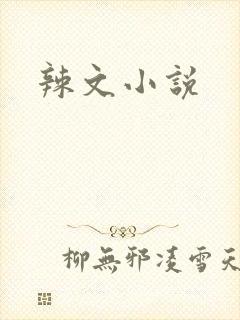 辣文小说