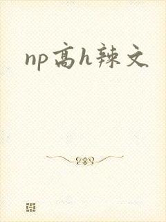 np高h辣文