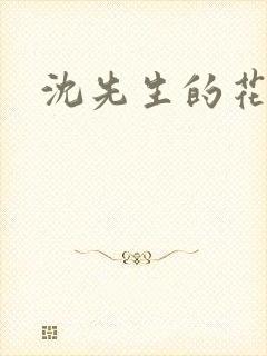 沈先生的花式调