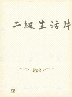 二级生活片