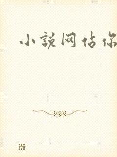 小说网站你懂的