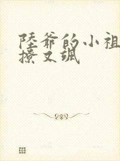 陆爷的小祖宗又撩又飒