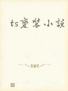 ts变装小说