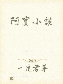 阿宾小说封面