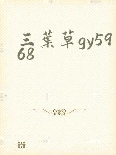 三叶草gy5968