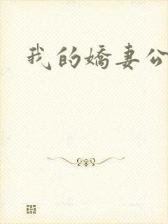 我的娇妻公务员