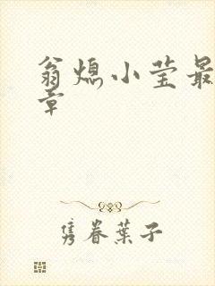 翁熄小莹最新节章