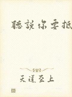 听说你要抵抗我