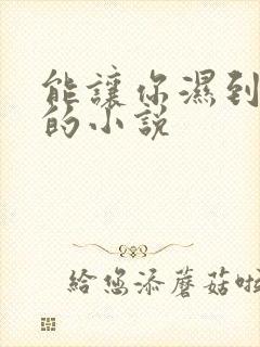能让你湿到不行的小说