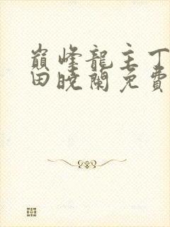 巅峰龙主丁长顺田晓兰免费阅读