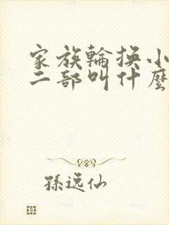 家族轮换小说第二部叫什么名字