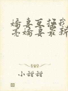 娇妻互换我的漂亮娇妻最新章节