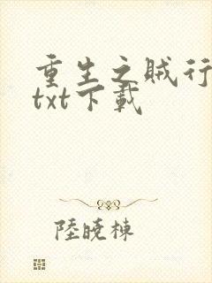 重生之贼行天下txt下载