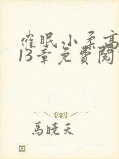 催眠小柔高达第13章免费阅读