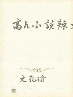 高h小说辣文
