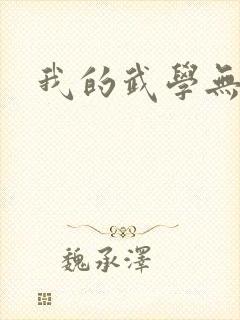 我的武学无极限封面