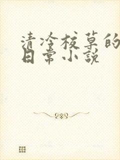 清冷校草的堕落日常小说