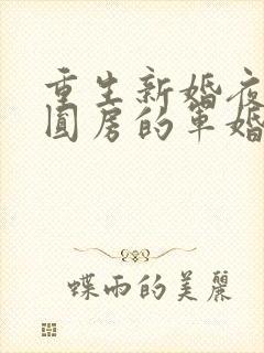 重生新婚夜正在圆房的军婚