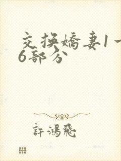 交换娇妻1一36部分