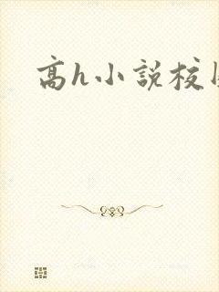 高h小说校园