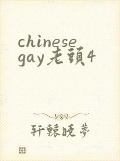 chinesegay老头4