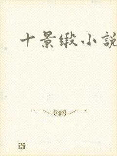 十景缎小说