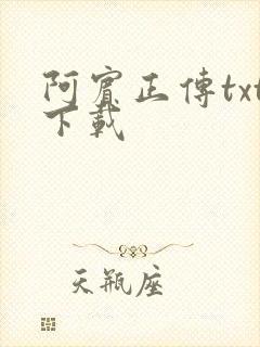 阿宾正传txt下载
