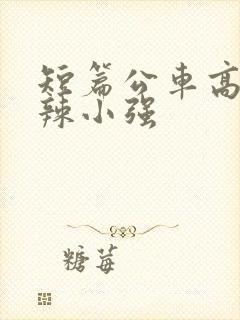 短篇公车高h肉辣小强