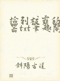 捡到校霸的遥控器txt笔趣阁