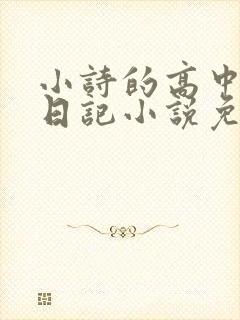 小诗的高中成长日记小说免费阅读