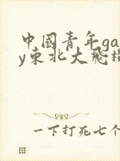 中国青年gary东北大飞机打桩