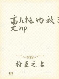 高h纯肉放荡h文np