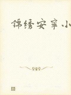 锦绣安宁小说