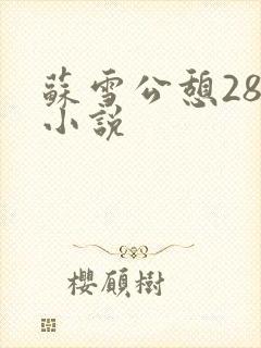 苏雪公憩28篇小说